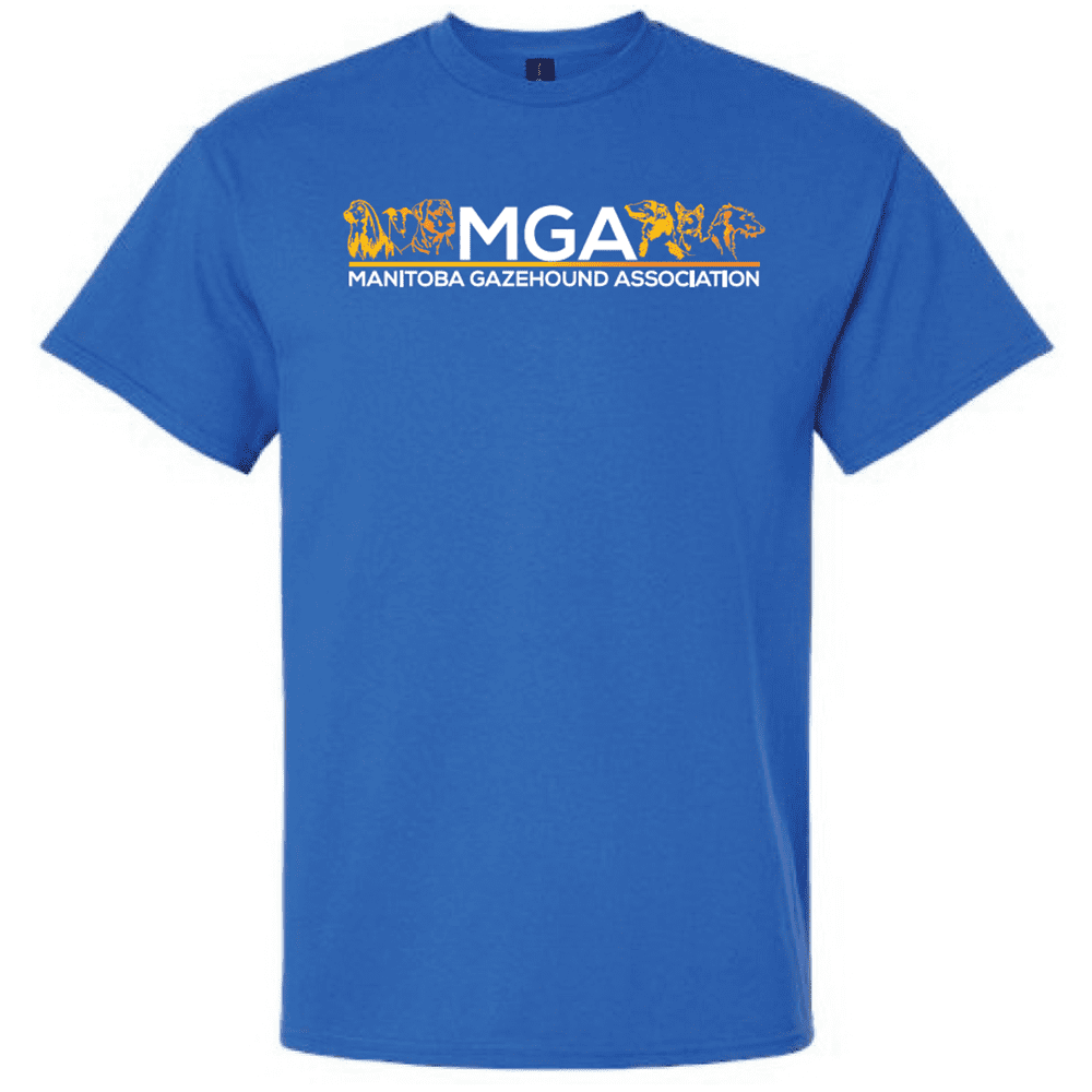 G200 Gildan Ultra Cotton T-Shirt - Royal